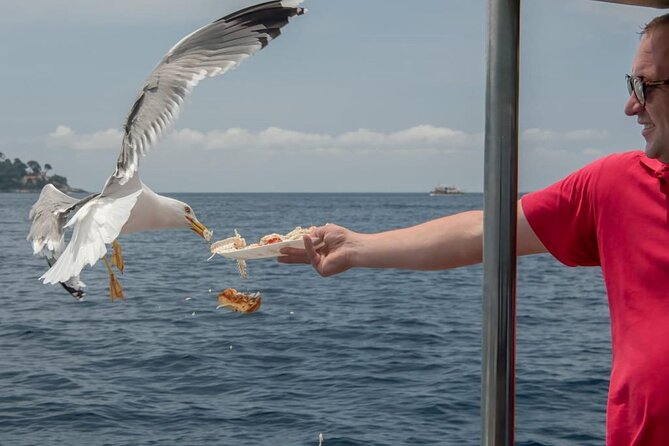 Island Hopping & City Walls Cruise with Food and Open Bar - Motion sickness and comfort: handle the choppy stretches