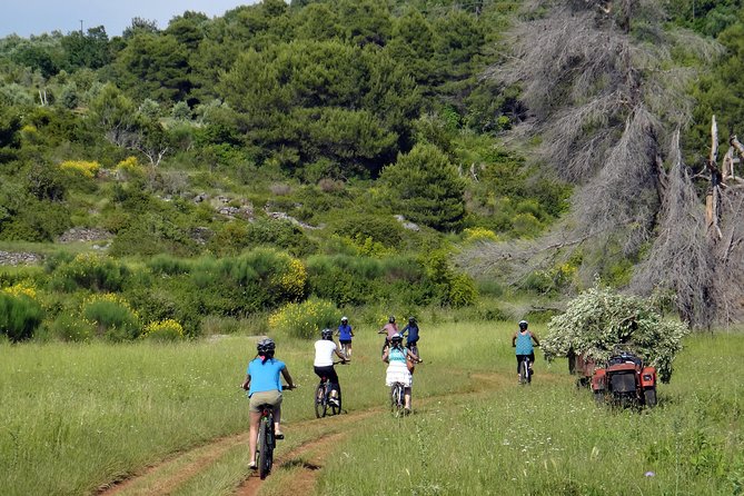 Kayak and Bike Tour to Sipan island from Lopud - Key highlights at a glance