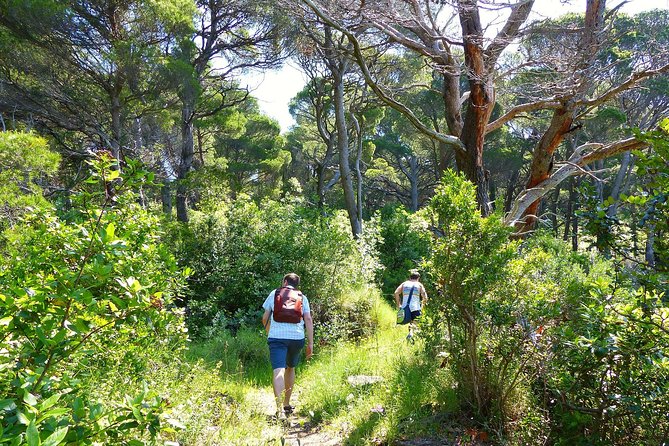 Kolocep Island Hiking and Swimming Full Day Trip from Dubrovnik - Lunch at the End: Fresh Fish, Family-Run Restaurant, and Cash Only