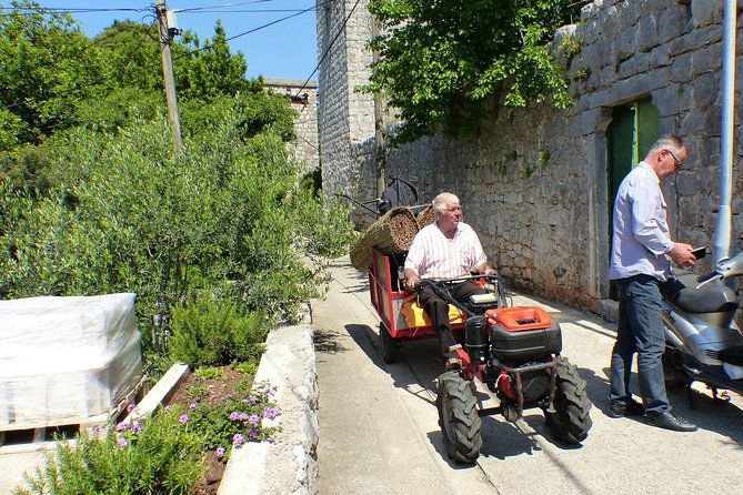 Kolocep Island Hiking and Swimming Full Day Trip from Dubrovnik - Practical Tips Before You Go (So You Actually Enjoy It)