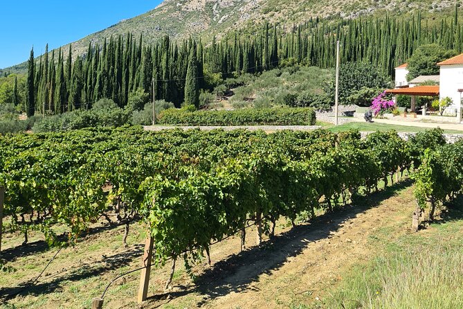 Konavle Gastro & Culture Tour (Private Tour) - Konavle Peka lunch: the meal that justifies the whole drive