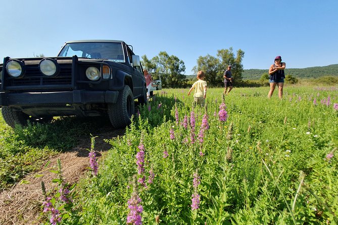 Konavle Jeep Safari Tour from Cavtat with Lunch - Stop 2 in Ljuta: Historic Mills, a River-Source Walk, and Adriatic Panoramas