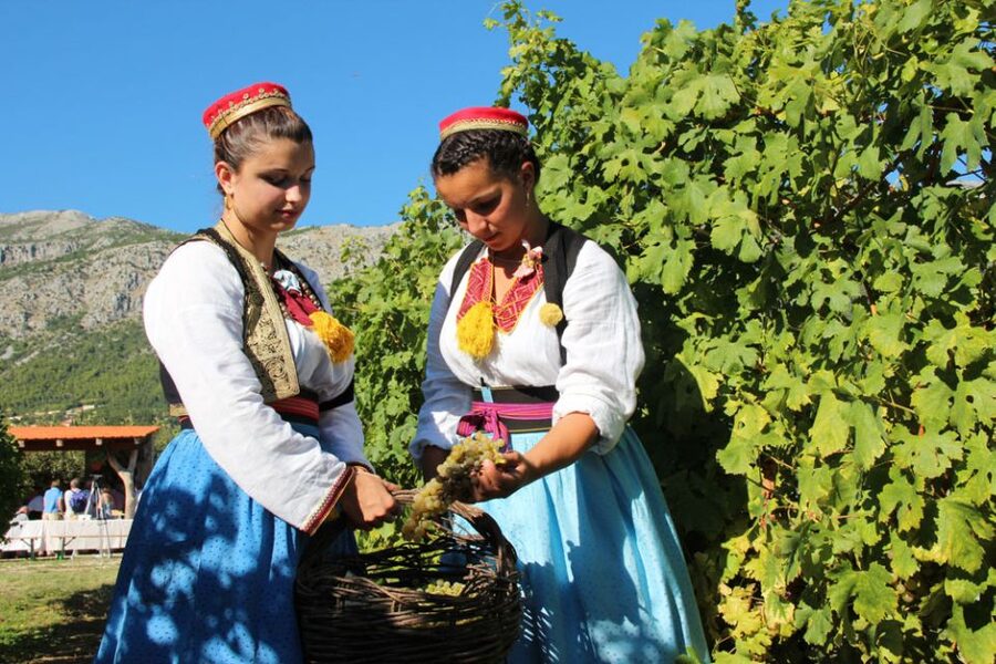 Konavle Valley: Private Half-Day Tour with Wine Tasting - The private timing: what 4–5 hours really means
