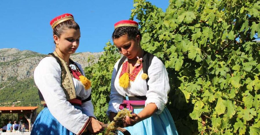 Konavle Valley: Private Half-Day Tour with Wine Tasting - Sokol Fortress area: seeing the fortress vibe (without pressure)