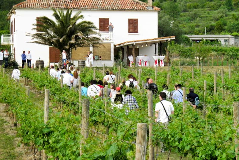 Konavle Valley: Tour with Wine Tasting from Dubrovnik - Konavle Valley: why this tour is a smart Dubrovnik side-trip