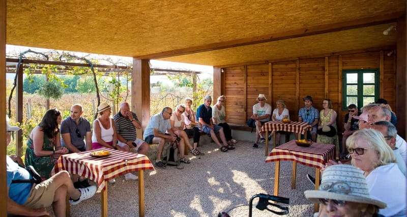 Konavle Valley: Tour with Wine Tasting from Dubrovnik - Ljuta and the water-powered mill: flour and wool you can actually picture