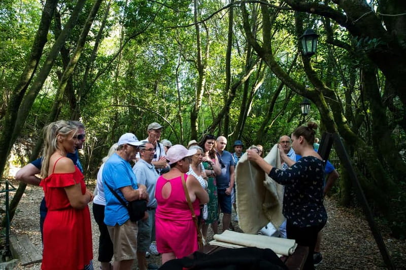 Konavle Valley: Tour with Wine Tasting from Dubrovnik - Food stop: the ploughman’s lunch style plate