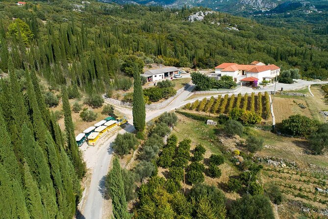 Konavle wine tasting tour from Dubrovnik with 2 vinery's - The Guide Experience: Miro, Marco, and Ivo Set the Tone