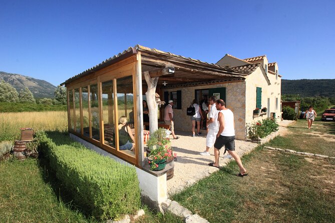 Konavle wine tasting tour from Dubrovnik with 2 vinery's - Price and Value: What $225.31 Buys You