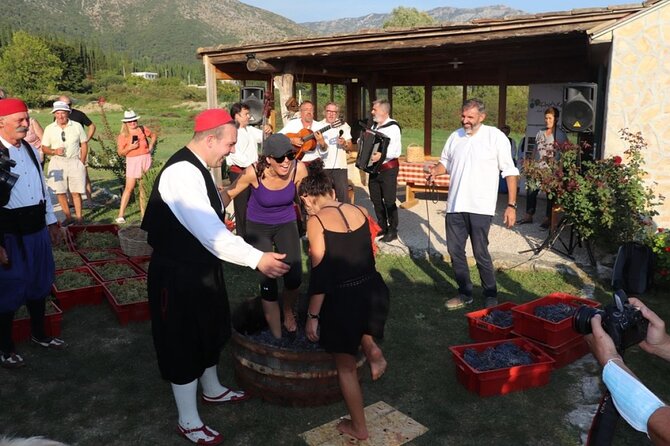 Konavle wine tasting tour from Dubrovnik with 2 vinery's - Who Should Book This Konavle Wine Tour