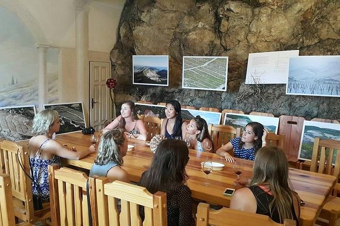 Korcula & Peljesac Full Day Private Tour from Dubrovnik - Korčula Old Town walking tour: Marco Polo, Venetian lines, and San Marco