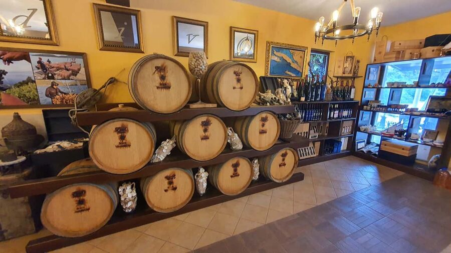 Korcula, Ston, Wine Tasting and Lunch - Tour from Dubrovnik - What to Bring (So You Actually Enjoy the Sea Stops)