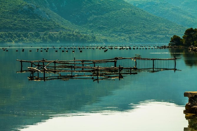 Korcula, Ston, Wine Tasting and Lunch - Tour from Dubrovnik - Pelješac Peninsula and Dingac at Matuško: Wine You Can See