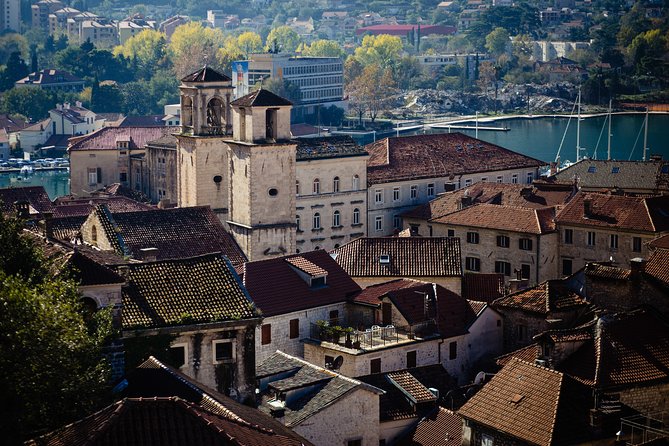 Montenegro Full-Day Trip from Dubrovnik with Optional Boat Trip - Who this tour fits (and who should rethink it)
