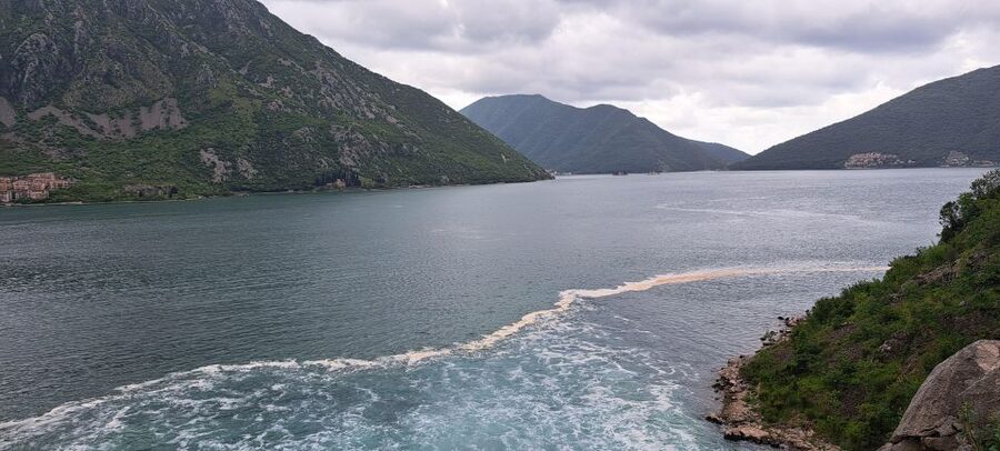 Montenegro: Perast & Kotor - Day Trip from Dubrovnik - Price and value: what $88 covers, and what you’ll pay extra