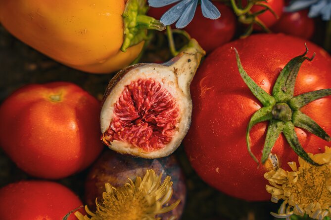 Olive farm & village - Why This Dubrovnik Olive Farm Tour Feels Different
