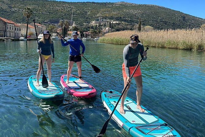 Ombla river Paddleboarding tour in Dubrovnik with snacks - The on-water start: you learn fast because the river behaves