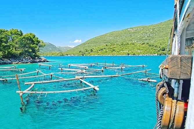 Oyster farm experience / Private day trip from Dubrovnik - Key highlights to expect on this oyster day trip
