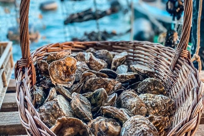 Oyster farm experience / Private day trip from Dubrovnik - Getting the most from the day: what to wear, plan, and ask