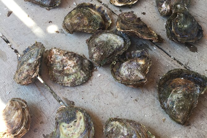 Oyster Farm, Ston and Winery Tour - Why the WSET-Style Tasting Helps You After the Tour