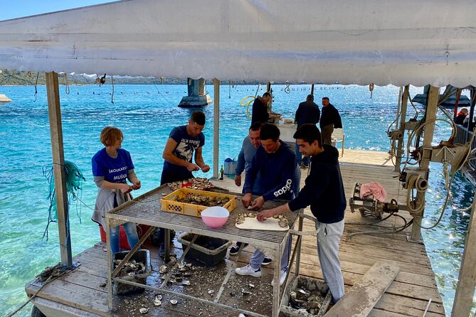 Oyster Farm, Ston and Winery Tour - Group Size, Language, and Logistics That Actually Matter