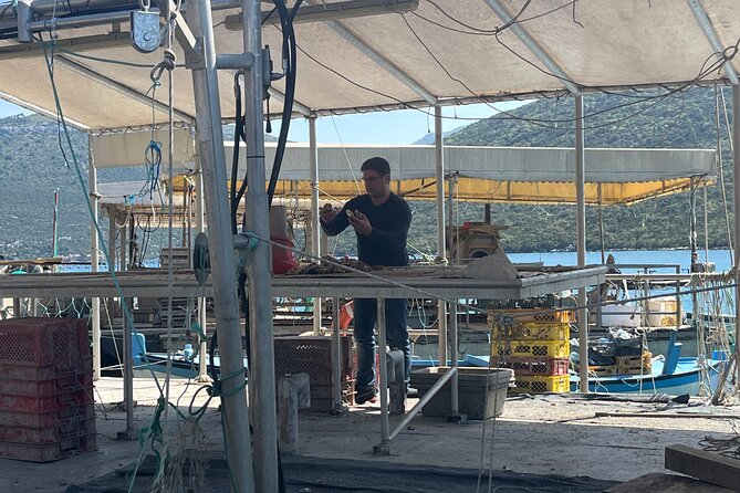 Oyster Farm, Ston and Winery Tour - Who This Tour Suits Best (And Who Might Want a Different Day)
