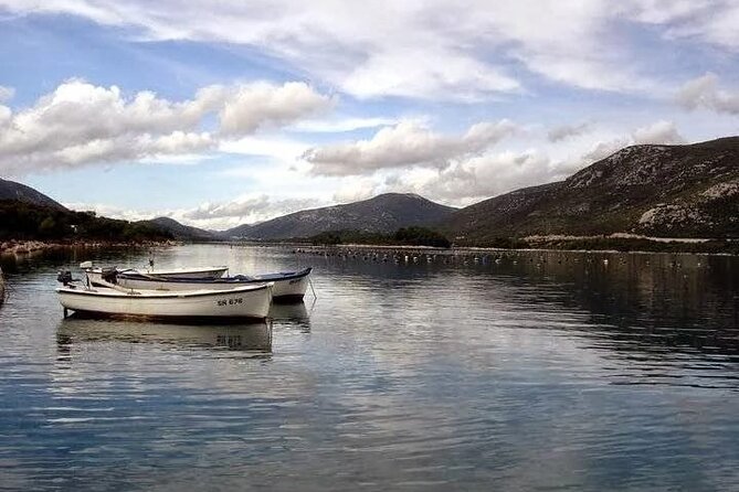 Oysters and mussels tasting with wine in Ston and Pelješac - Key Things You’ll Like About This Ston and Pelješac Seafood Tour