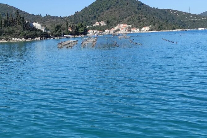 Oysters and mussels tasting with wine in Ston and Pelješac - Why Ston and Pelješac Make This Seafood Day Feel Real