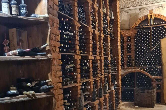 Oysters & Wine Tour From Dubrovnik (Small Group) - Who should book this oyster and wine day