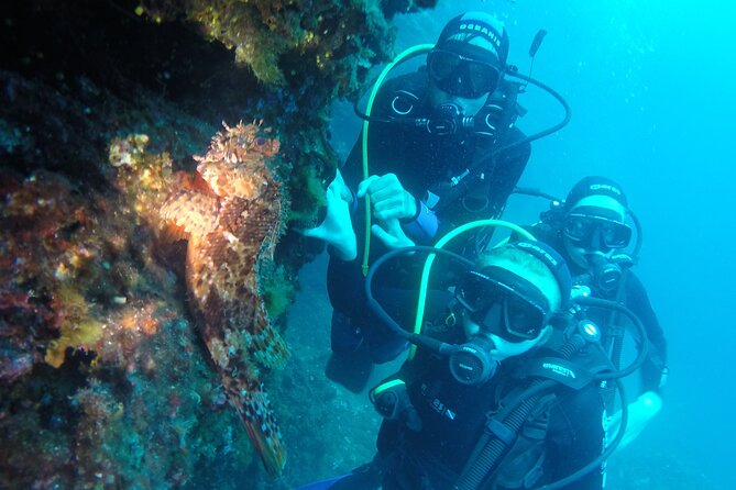 PADI Discover Scuba Diving in Dubrovnik - Instructor quality: names you’ll hear, and why it matters