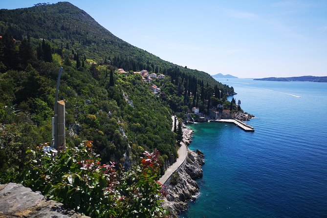 Panorama Dubrovnik & Arboretum Trsteno PRIVATE TOUR - Value for Money: When $108.43 Feels Fair