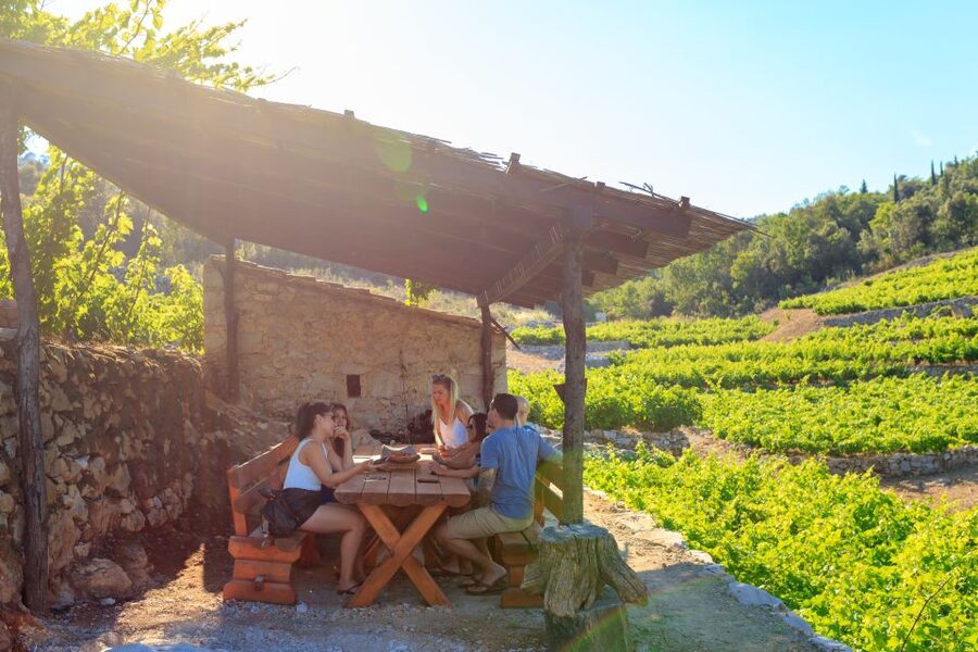 Pelješac Full-Day Wine and Food Tour from Dubrovnik - Key Things You’ll Notice On This Pelješac Day