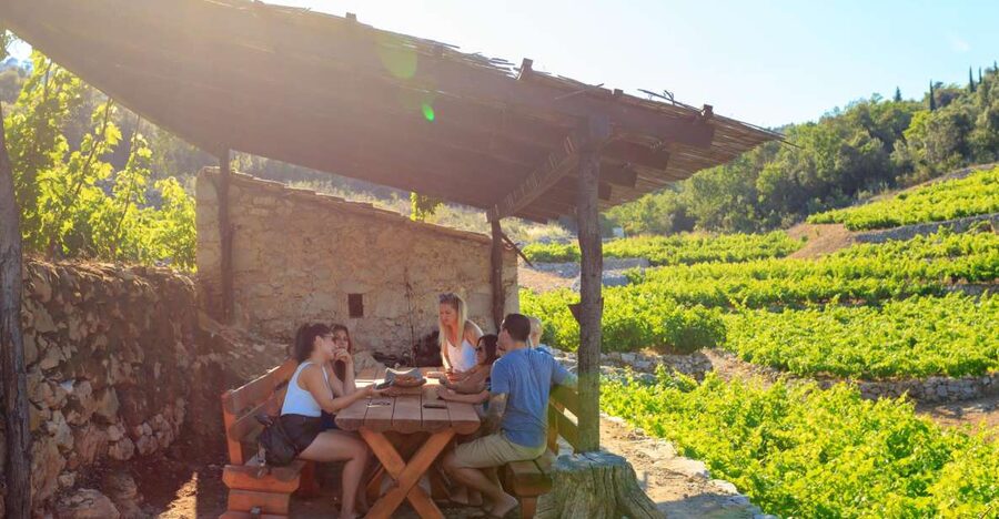 Pelješac Full-Day Wine and Food Tour from Dubrovnik - Pelješac From Dubrovnik: Why This Trip Feels Like the Real Deal