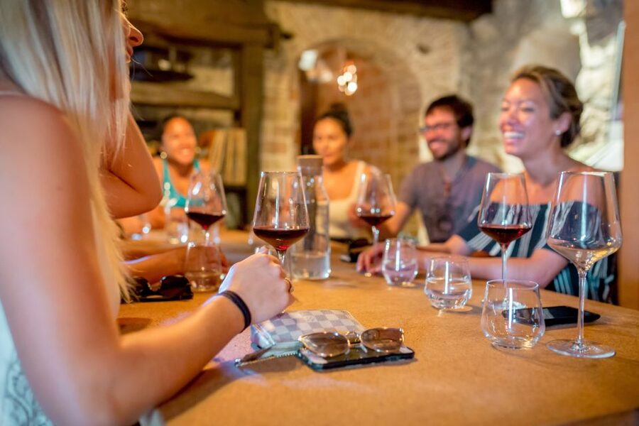 Pelješac Full-Day Wine and Food Tour from Dubrovnik - How the Small-Group Van Makes the Day Work