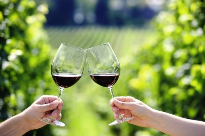 Peljesac Peninsula Day Trip from Dubrovnik: Wine Tasting and Ston Village Tour - Key Points Before You Go