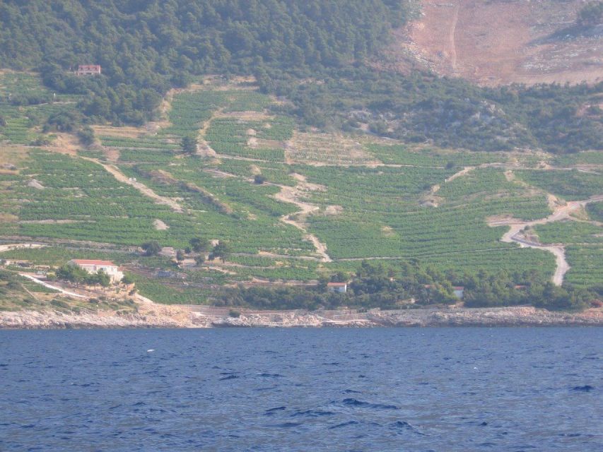 Peljesac Peninsula & Korcula Island Day-Trip from Dubrovnik - Should you book? My take on the decision