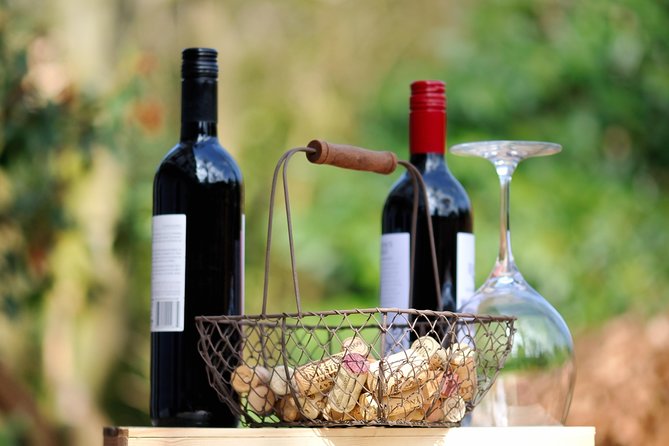 Peljesac Peninsula Wine Tasting Luxury Tour from Dubrovnik - 8 to 9 hours well spent: timing, lunch, and keeping your energy up