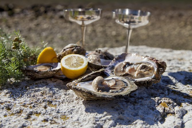 Peljesac Peninsula Wine Tasting Luxury Tour from Dubrovnik - Price and value from Dubrovnik: is $668.28 a smart deal?