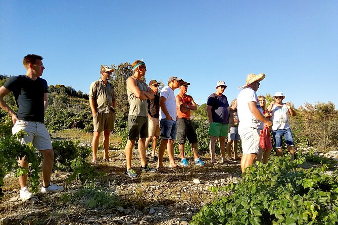 Peljesac&Ston Small-Group Food & Wine Experience from Dubrovnik - Oyster farm on the boat: what to expect when you start with the sea