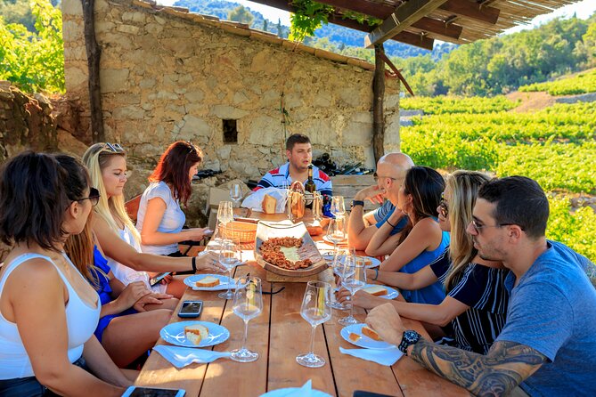 Peljesac&Ston Small-Group Food & Wine Experience from Dubrovnik - Getting to Pelješac: the comfort part that makes food taste better