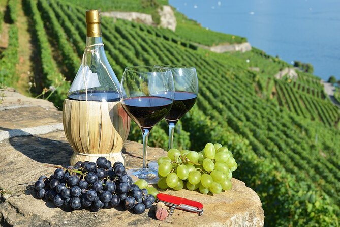 Peljesac Vineyards & Oysters - Private Day Trip from Dubrovnik-Mercedes Vehicle - Quick Take: What Makes This Pelješac Day Trip Work