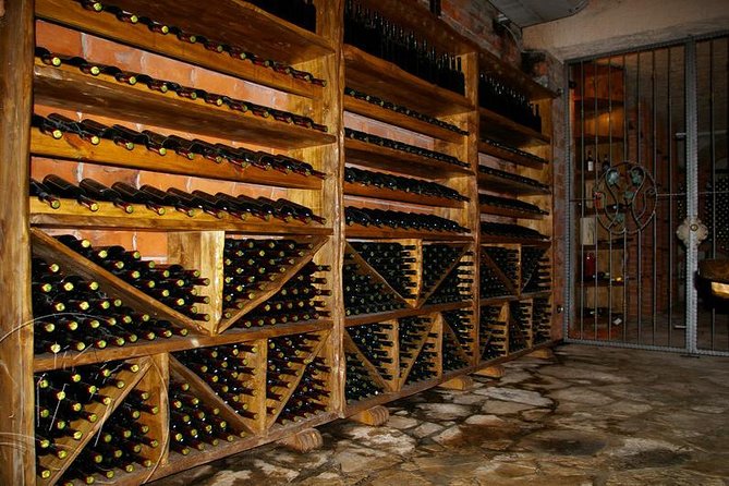 Peljesac Vineyards & Oysters - Private Day Trip from Dubrovnik-Mercedes Vehicle - What’s Included vs. What You Pay On the Spot