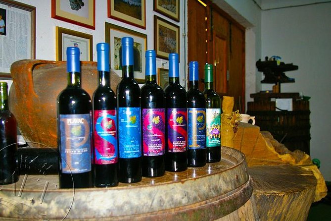 Peljesac Vineyards & Oysters - Private Day Trip from Dubrovnik-Mercedes Vehicle - How the Private Format Changes Your Day