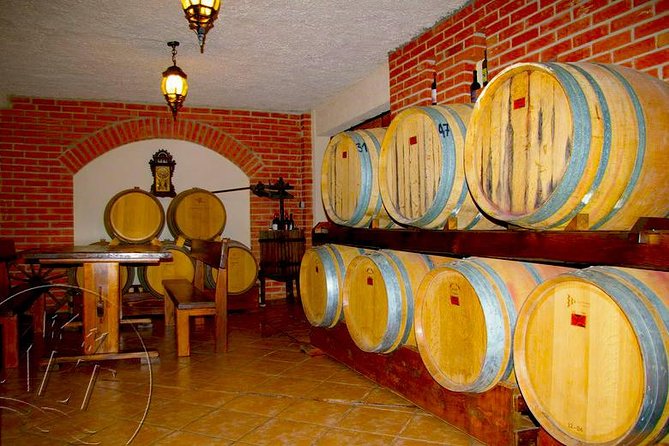 Peljesac Vineyards & Oysters - Private Day Trip from Dubrovnik-Mercedes Vehicle - Ston Old Town: Walls and Salt Flats First