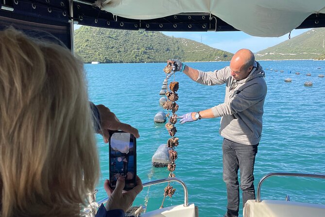 Pelješac - Wine, Oysters and Food Experience from Dubrovnik - Key highlights worth planning for