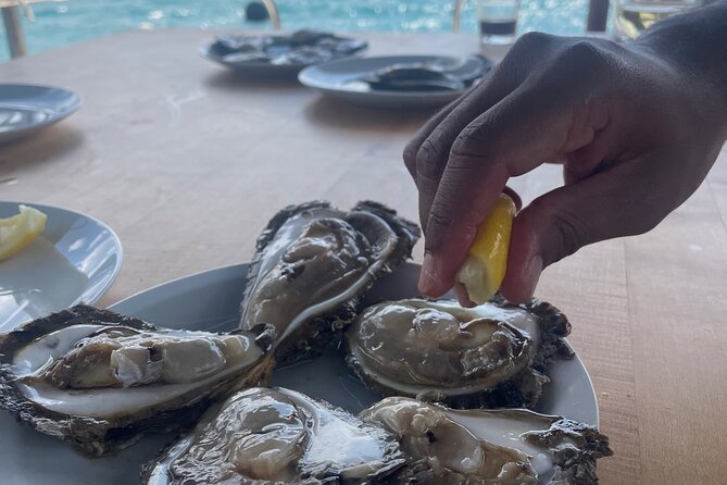 Pelješac - Wine, Oysters and Food Experience from Dubrovnik - Winery tastings that feel local, not scripted