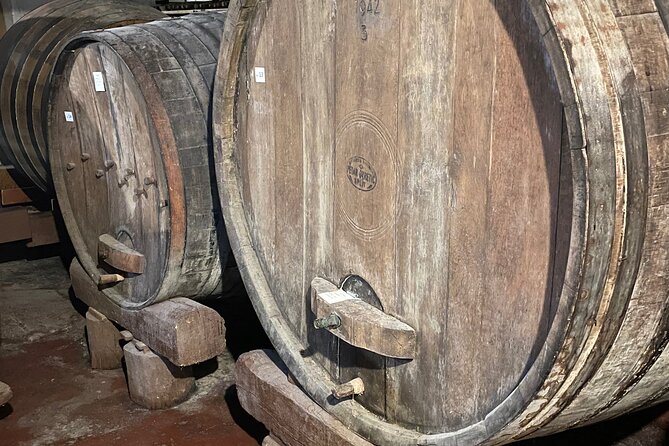 Pelješac - Wine, Oysters and Food Experience from Dubrovnik - Hodilje oyster tasting and the Buzara pairing