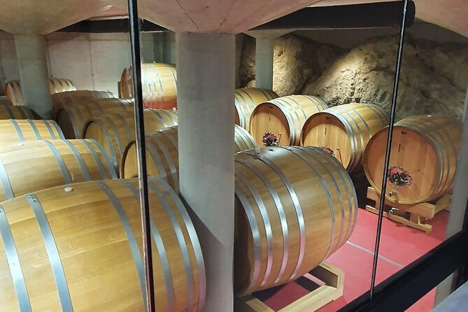 Pelješac - Wine, Oysters and Food Experience from Dubrovnik - The second winery cellar visit: where the wow factor happens