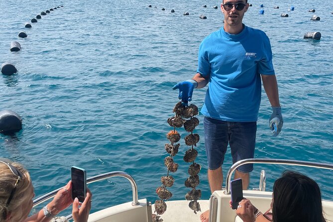 Pelješac - Wine, Oysters and Food Experience from Dubrovnik - Mount Srd: the payoff view over Dubrovnik