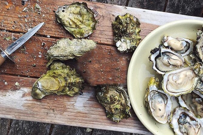 Peljesac Wine & Ston Oysters PRIVATE HALF DAY SHORE TOUR - Port Pickup, Timing, and What 4–6 Hours Feels Like